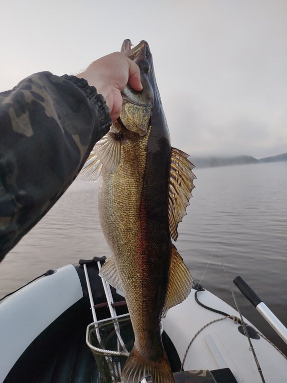 Фото из отзыва от 08.09.2024