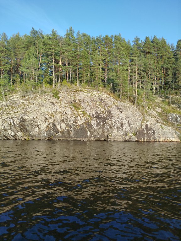 Фото из отзыва от 08.09.2024