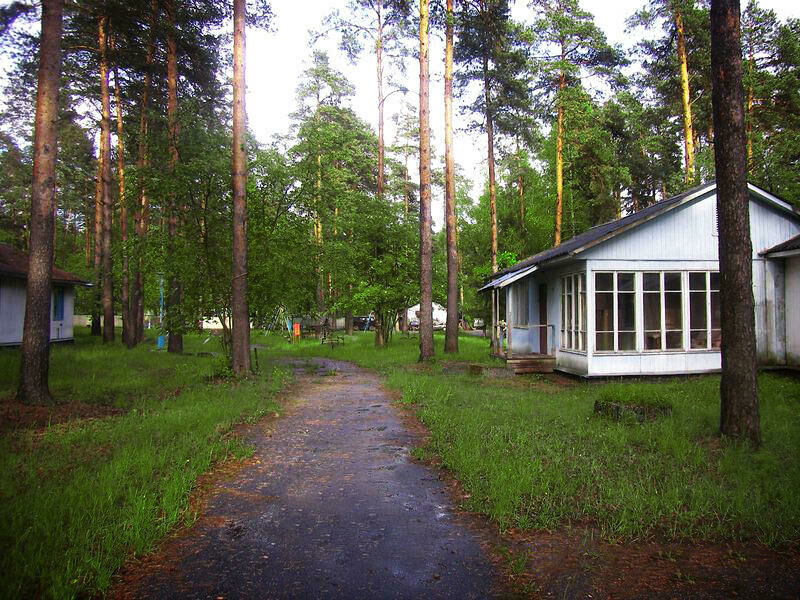 Желтая Гора, Московская область: фото 3