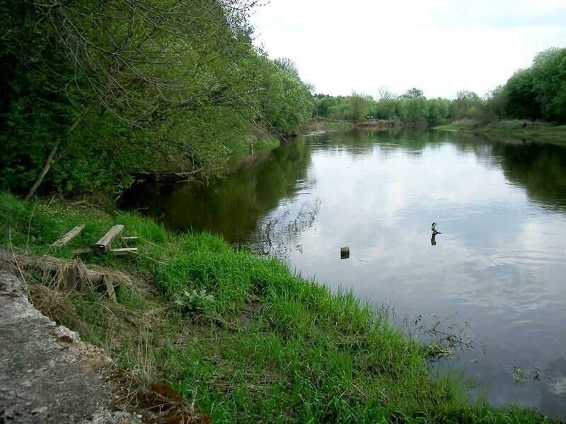 Желтая Гора, Московская область: фото 5