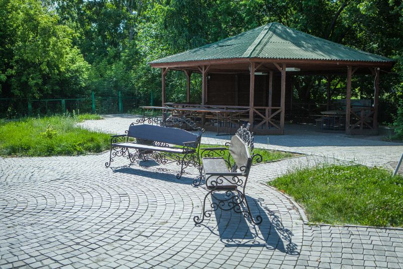 Лесная сказка, Новосибирская область: фото 5