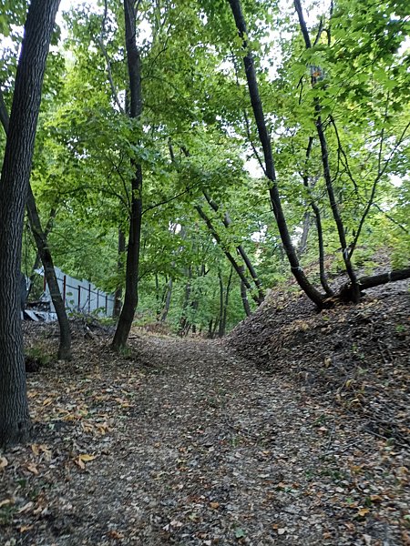 Фото 1 из отзыва о базе отдыха Порт