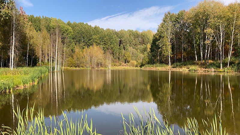 Фото 6 из отзыва о парк-отеле Медвежья гора