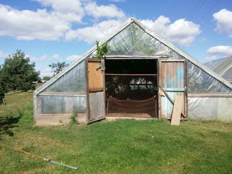 Гостиный двор, Могилёвская область: фото 5