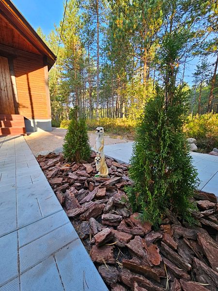 Ильинка в Карелии, Республика Карелия: фото 4