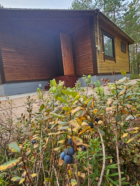 Ильинка в Карелии, Республика Карелия: фото 5