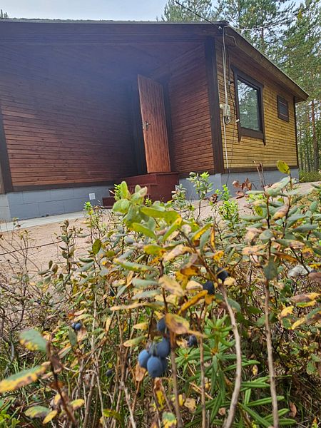 Ильинка в Карелии, Республика Карелия: фото 5