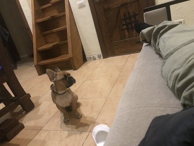 Фото 14 из отзыва о базе отдыха Порт