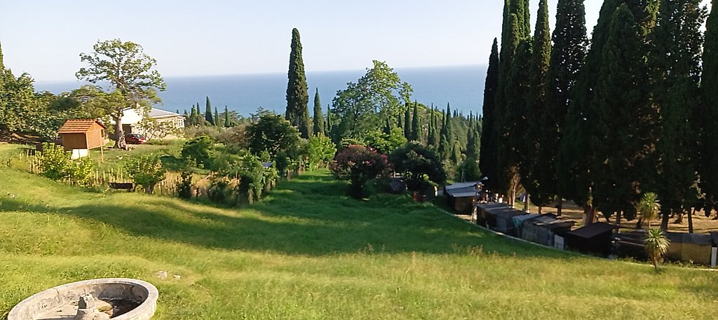 Фото из отзыва от 13.09.2024