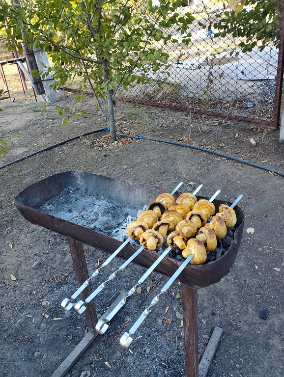 Фото из отзыва от 21.09.2024