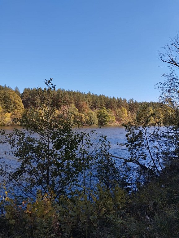 Фото из отзыва от 15.09.2024