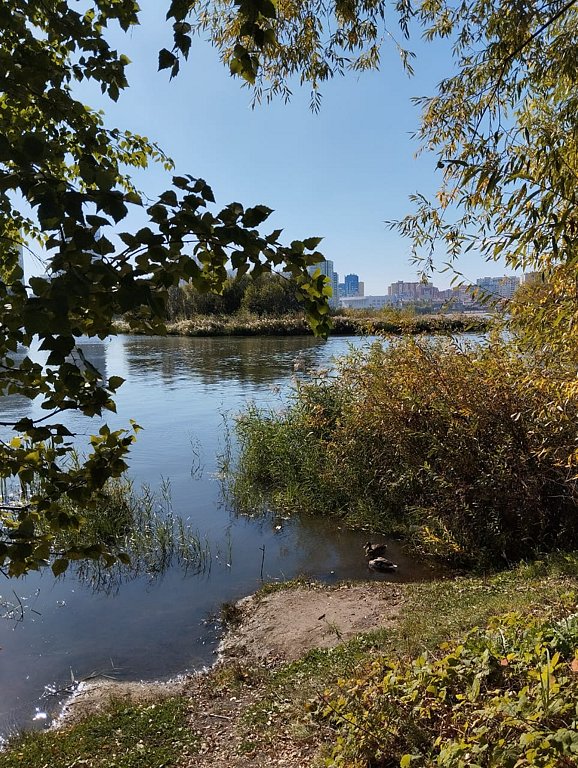 Фото из отзыва от 15.09.2024