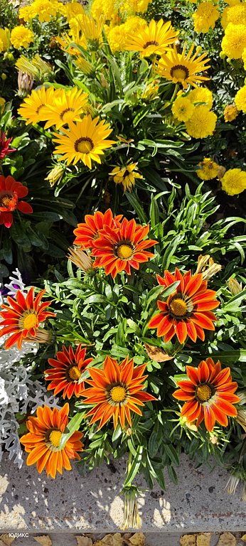 Фото из отзыва от 20.09.2024