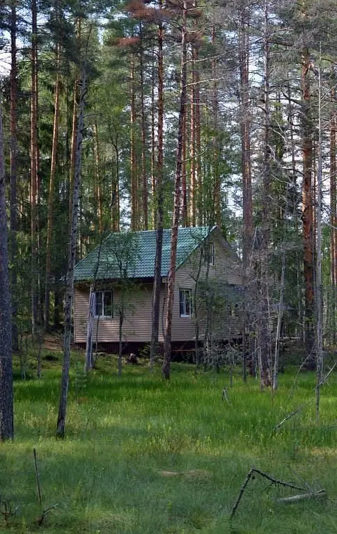 База отдыха ЭКОлес, Лодейнопольский район, Ленинградская область