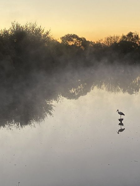 Фото 3 из отзыва о доме в аренду Дома в аренду