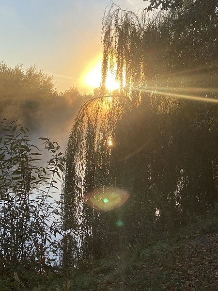 Фото 4 из отзыва о доме в аренду Дома в аренду