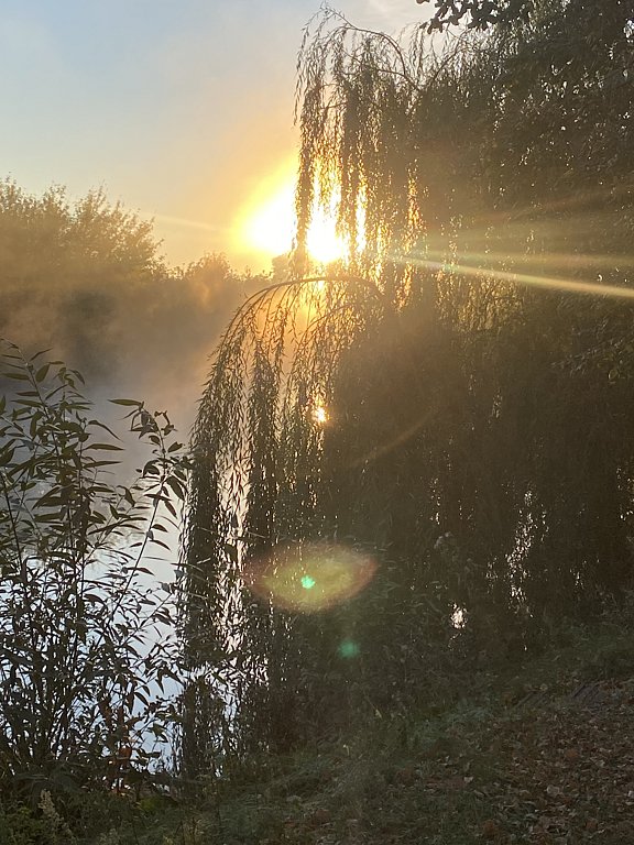 Фото из отзыва от 21.09.2024