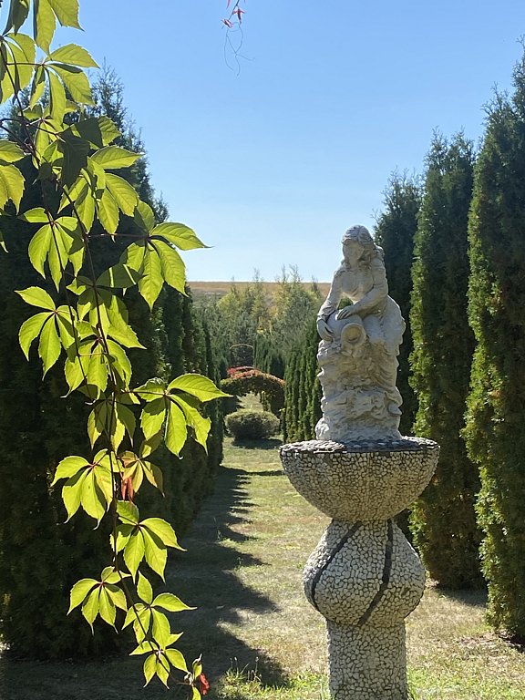 Фото из отзыва от 21.09.2024