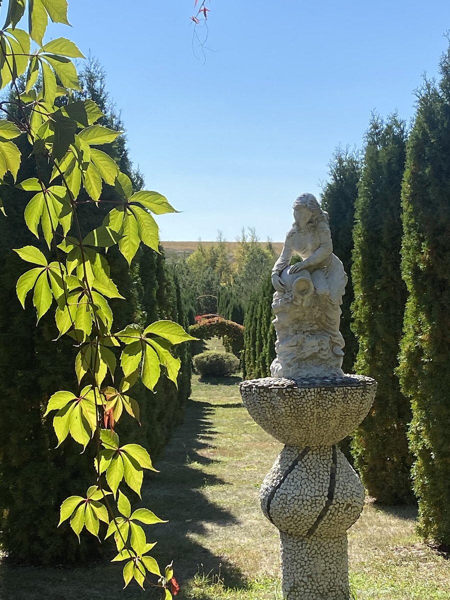 Фото 3 из отзыва о доме в аренду Дома в аренду