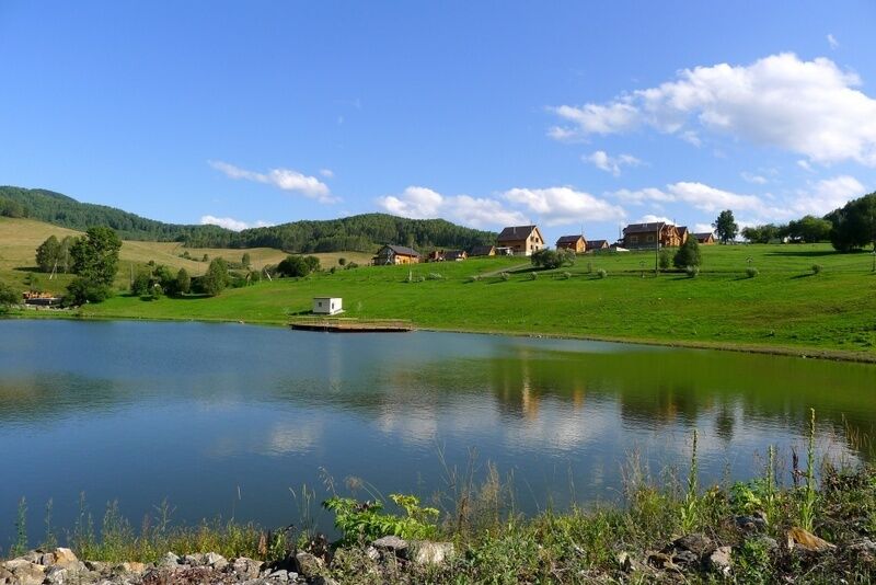 Пруд | Басаргино, Алтайский край