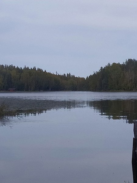 Фото 4 из отзыва о базе отдыха Annilahti (Аннилахти)