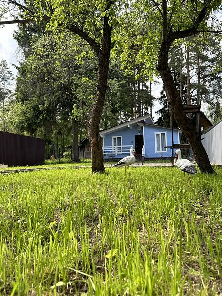 Частный дом Загорянка, Щёлково, Московская область