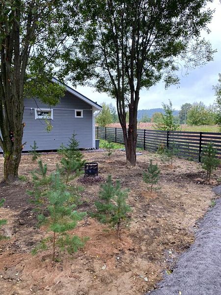 Шале Тибет в Коробицыно, поселок Коробицыно, Ленинградская область