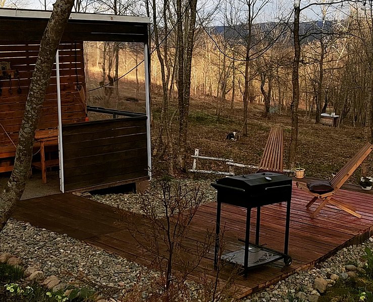 Коттедж 2-местный (Лесной домик)