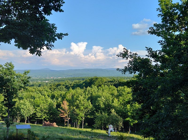 Коттедж 2-местный (Скандинавский домик)