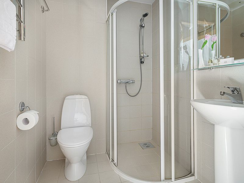 Улучшенный 2-местный Мансардный