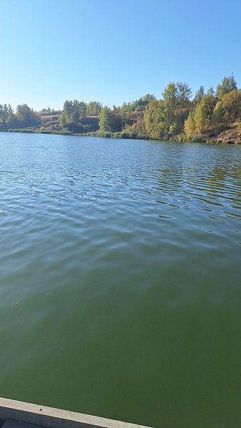 Фото 3 из отзыва о загородном комплексе Scandi