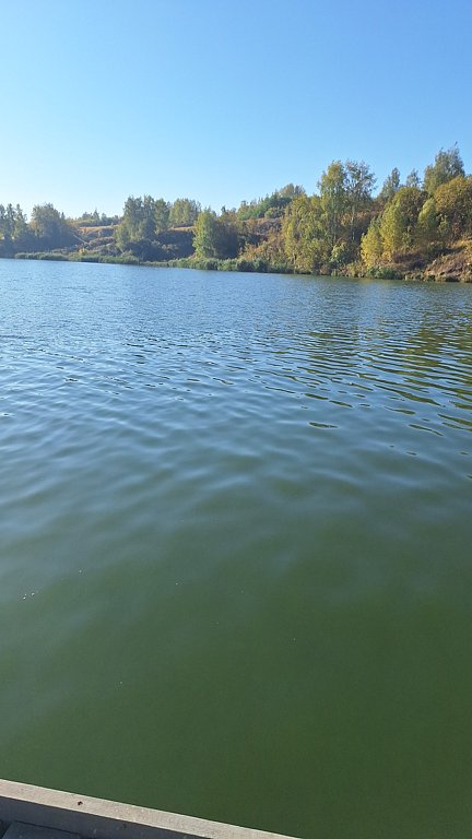 Фото из отзыва от 29.09.2024