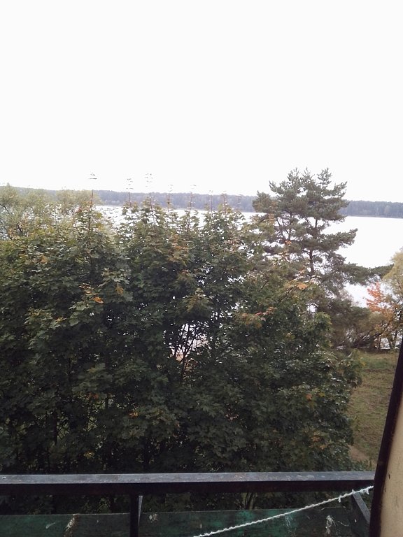 Фото из отзыва от 27.09.2024