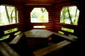 Зона V.I.P. дом-бунгало №7,8, Туристический комплекс Зелёный остров, Алтайский район