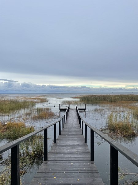 Фото 7 из отзыва о базе отдыха Янтарный берег