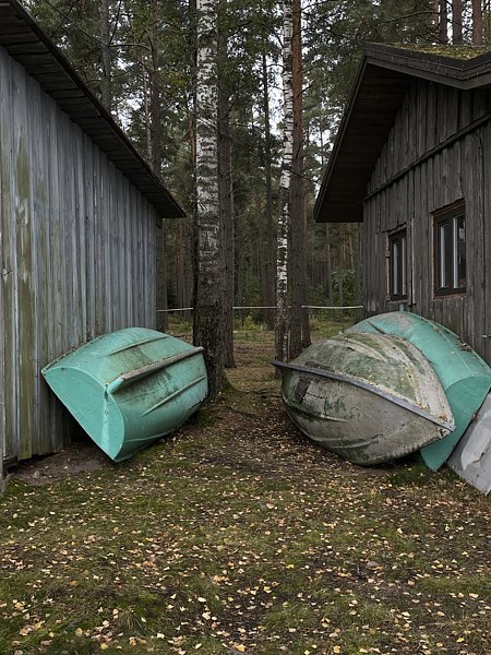 Фото 2 из отзыва о базе отдыха Янтарный берег