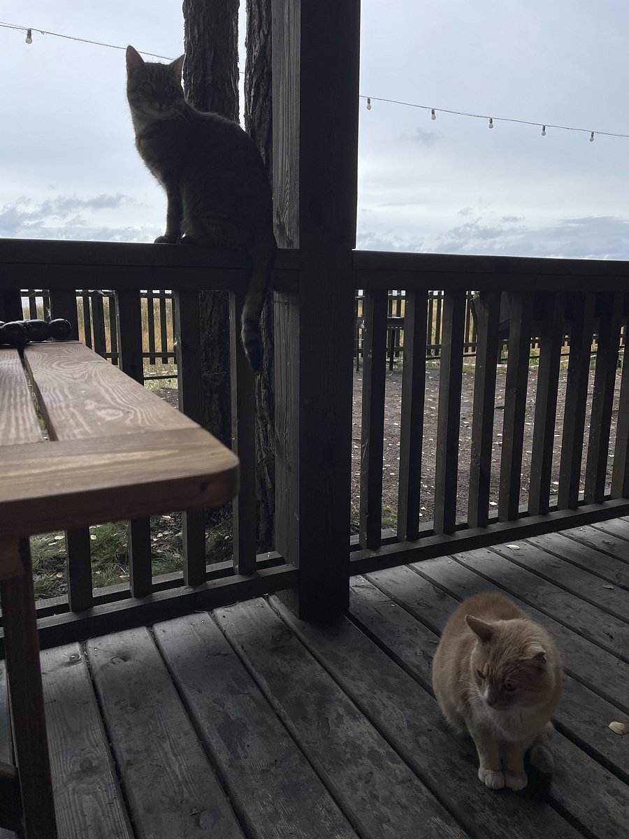 Фото 7 из отзыва о базе отдыха Янтарный берег