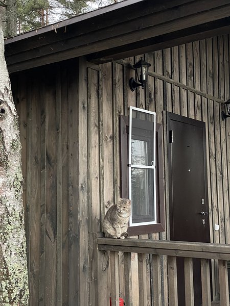 Фото 1 из отзыва о базе отдыха Янтарный берег