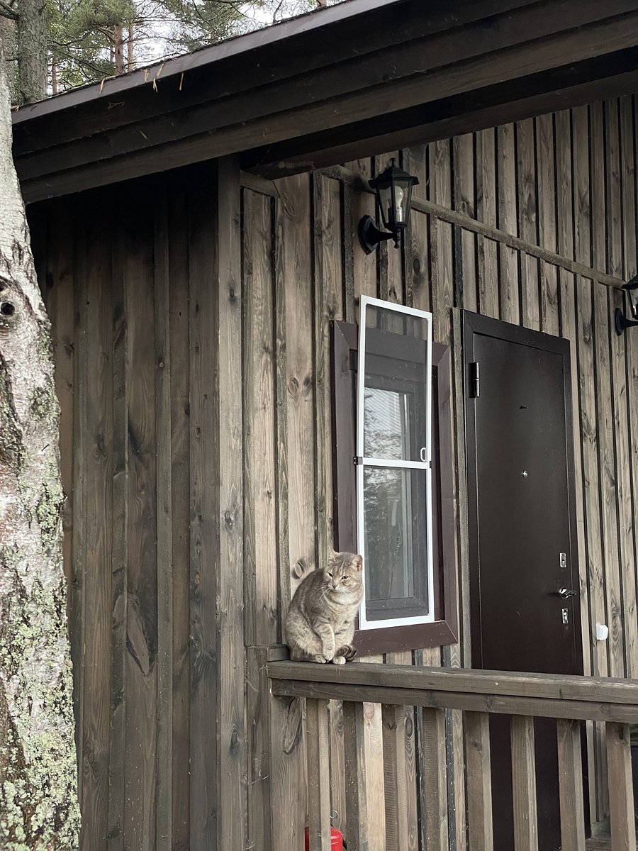 Фото 5 из отзыва о базе отдыха Янтарный берег