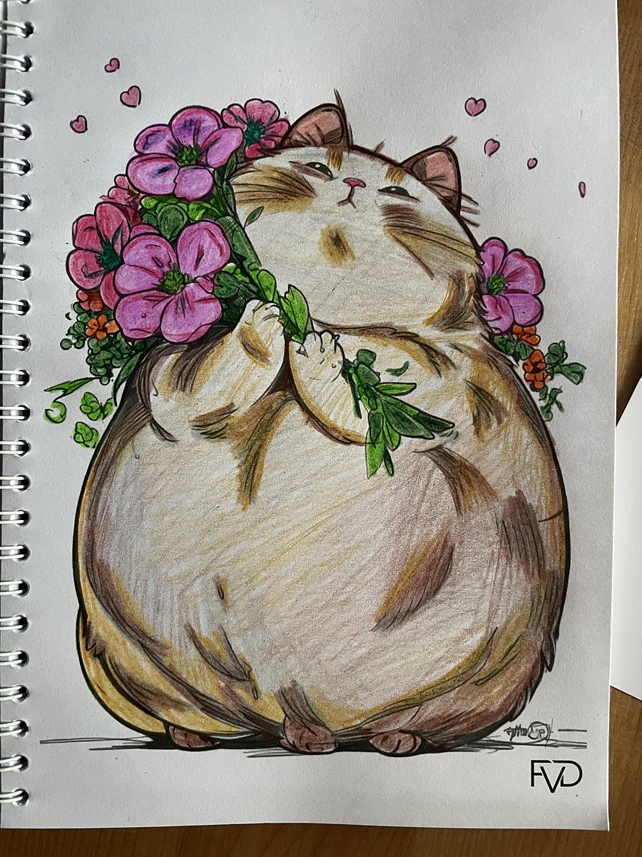 Фото 9 из отзыва о базе отдыха Янтарный берег