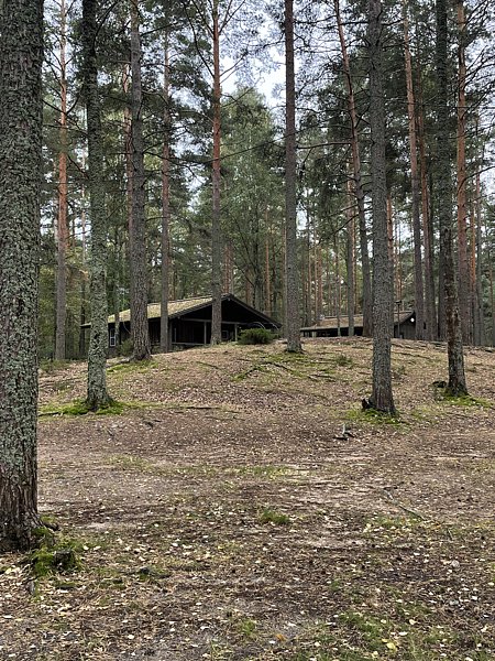 Фото 9 из отзыва о базе отдыха Янтарный берег