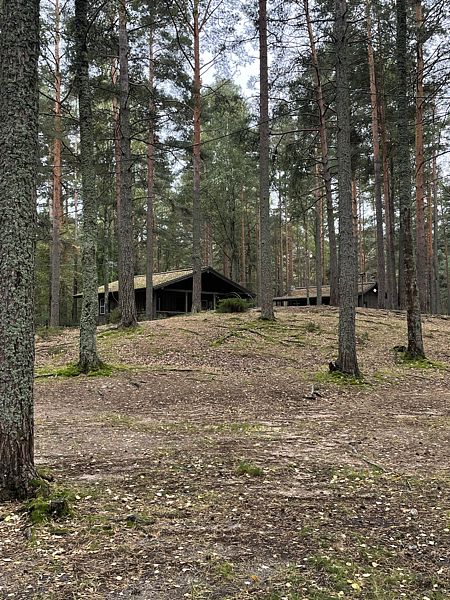 Фото 9 из отзыва о базе отдыха Янтарный берег