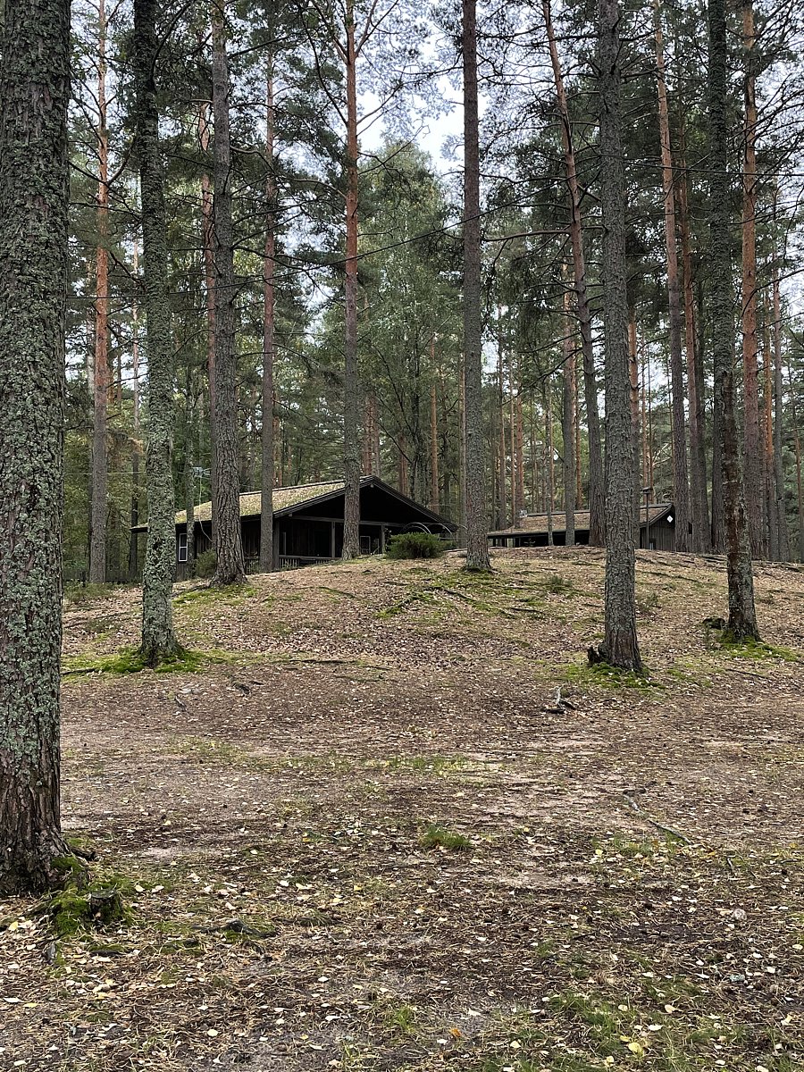 Фото 13 из отзыва о базе отдыха Янтарный берег