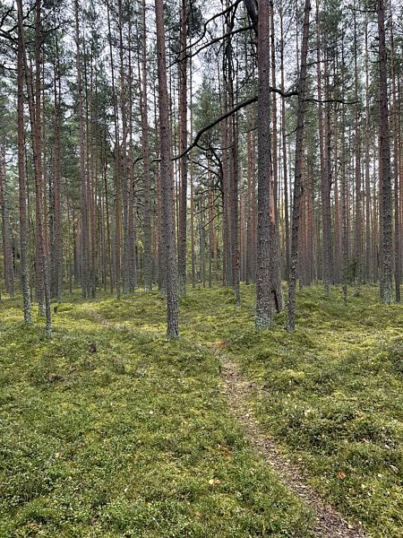 Фото 4 из отзыва о базе отдыха Янтарный берег