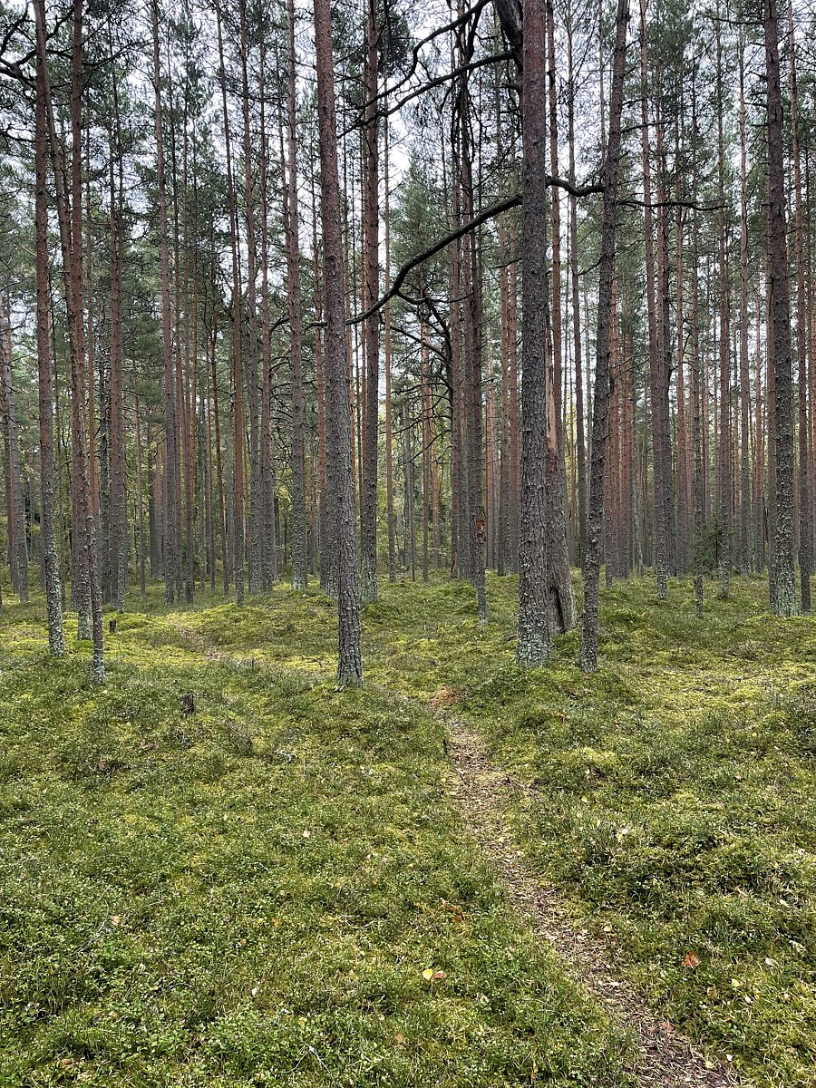 Фото 8 из отзыва о базе отдыха Янтарный берег