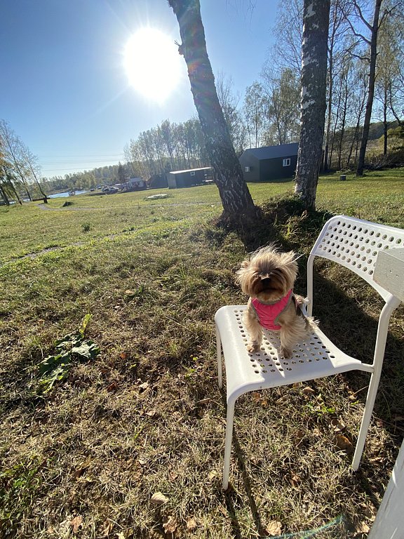 Фото из отзыва от 01.10.2024