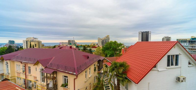 Филин, Краснодарский край: фото 4