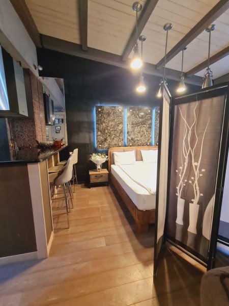 Апартаменты Люкс 3-местный (в стиле лофт)