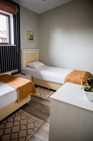 Эконом mini 2-местный Стандартный (TWIN)