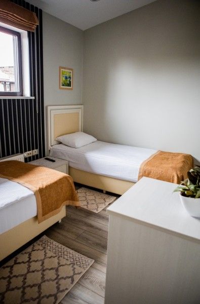 Эконом mini 2-местный Стандартный (TWIN)